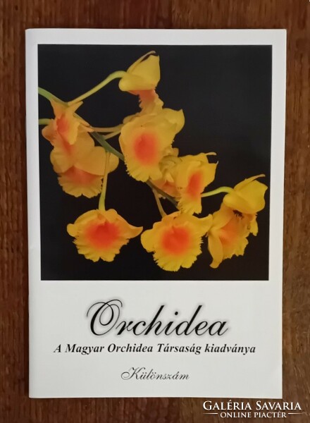 Orchid special issue