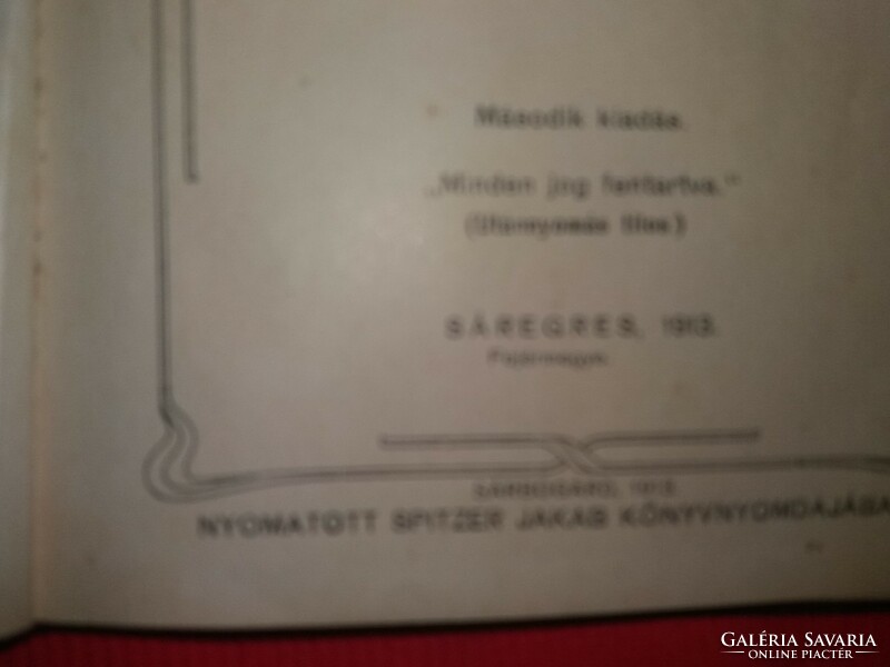 1913.ANTIK Ertl Károly:Hulló falevelek verses kötet 1.KIADÁS a képek szerint Sárbogárd Spitzer Jakab