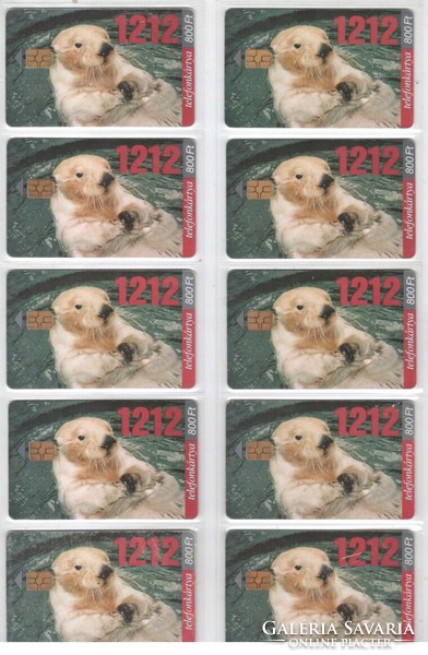 Hungarian phone card 1077 1212-otter 300,000 pcs.