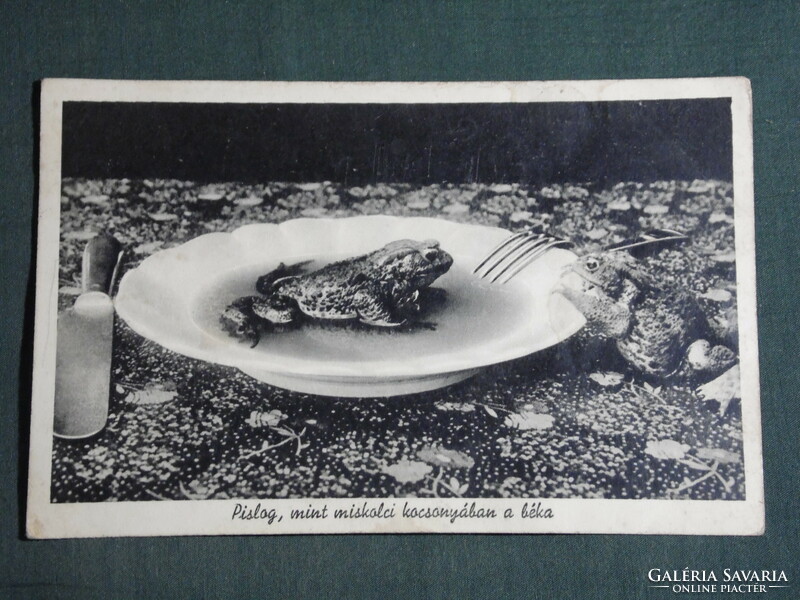 Postcard, Miskolc, blinks like a frog in Miskolc jelly, 1941