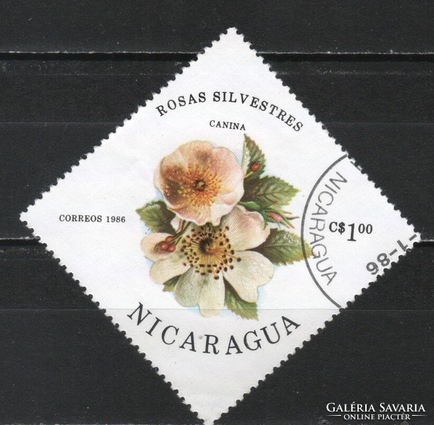 Flower, fruit 0341 nicaragua mi 2632 €0.30
