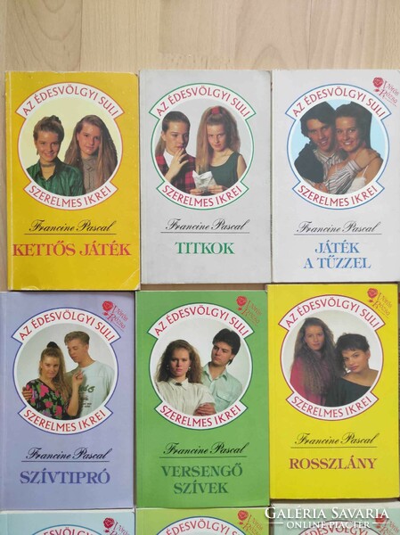 Twins in love at the school in Südsvölgy is a series of books