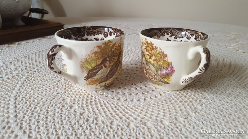 English royal worcester palissy tea cup 2 pcs.