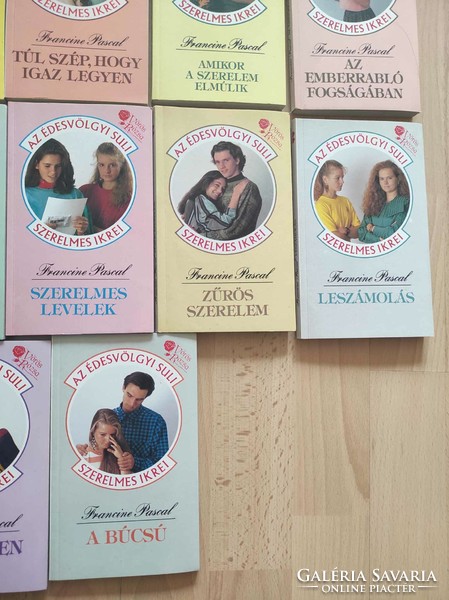 Twins in love at the school in Südsvölgy is a series of books