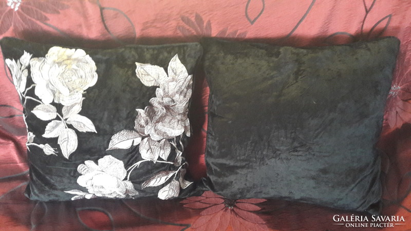 Pair of embroidered pillows (m2494)