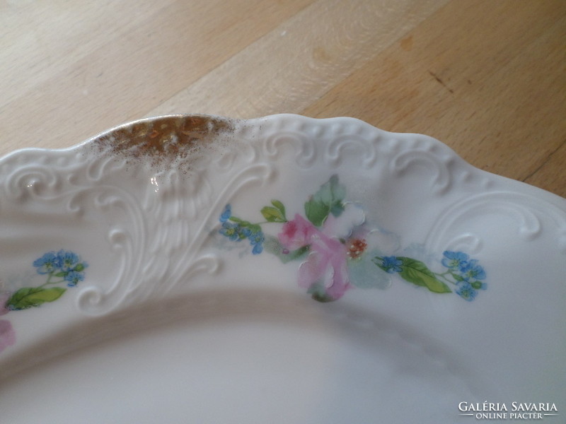 Antique art nouveau Bohemian (Austria) porcelain roasting dish 28 x 39 cm