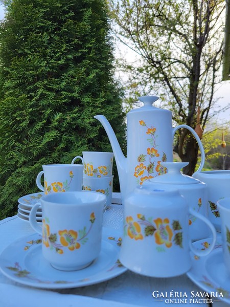 Alföldi porcelain_coffee set with rare decor