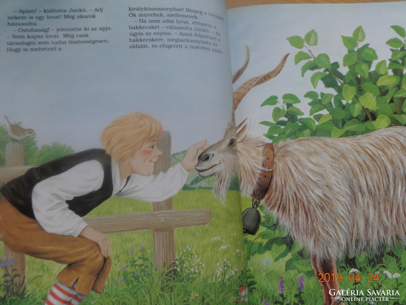 Andersen: A két okos meg a bolondos - mesekönyv Francois Crozat rajzaival