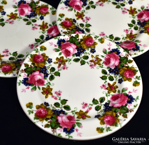 English cookie plate set with a rich floral pattern