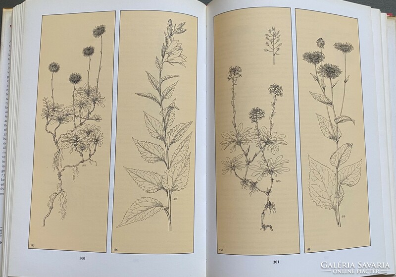 Red Book of extinct and endangered plant and animal species in Hungary