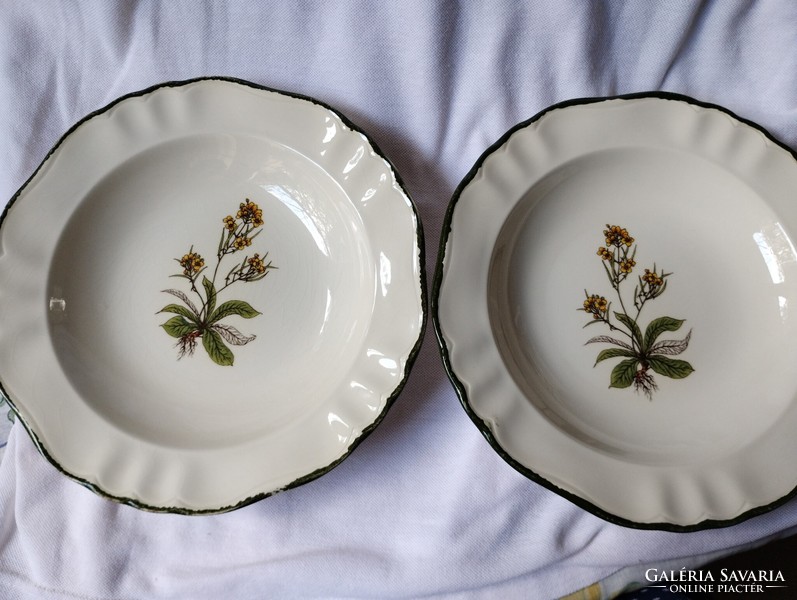 Olasz porcelán tányérok (2 egyforma).Ritkaság!