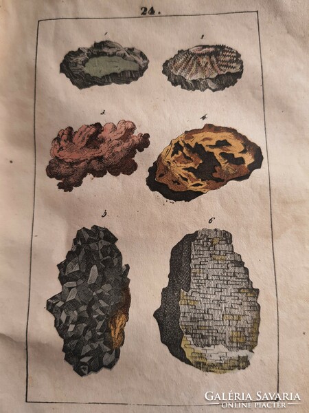 24 Colored engravings animals, plants, minerals - martin: naturgeschichte 1844 - the book is complete