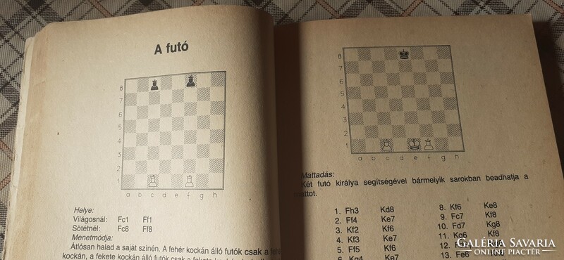 Solymosi László:Sakkozzunk, fiatalok! (1983.)