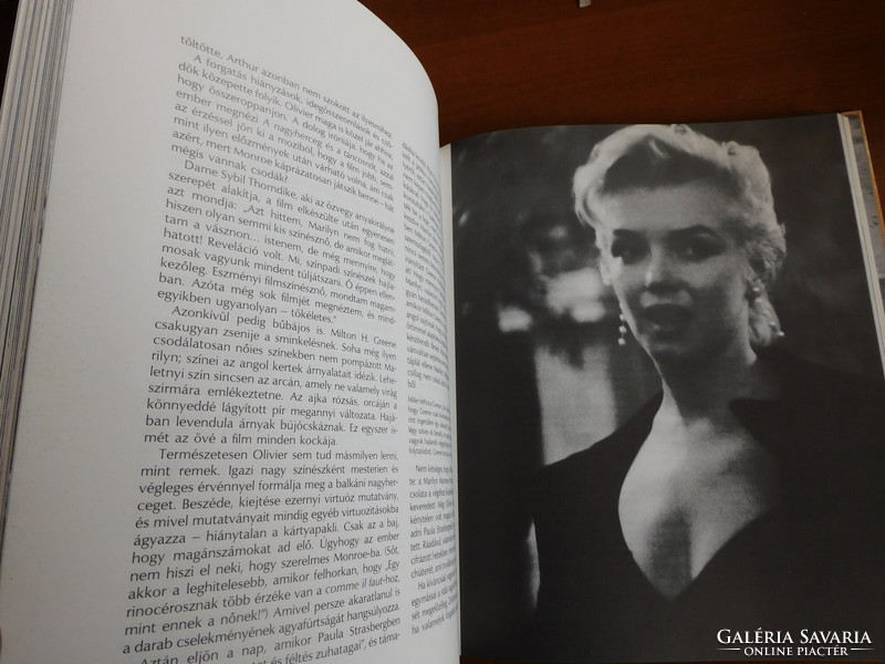 Norman mailer: marilyn