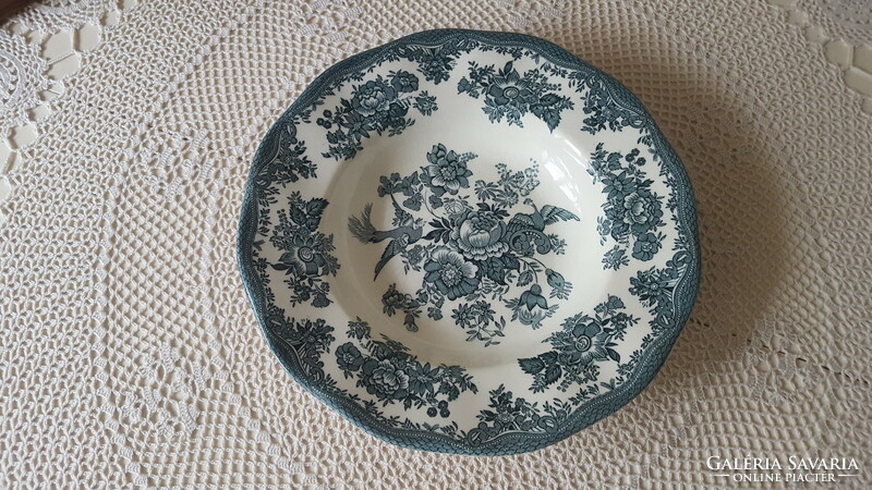 Beautiful Enoch Wedgwood English earthenware deep plate