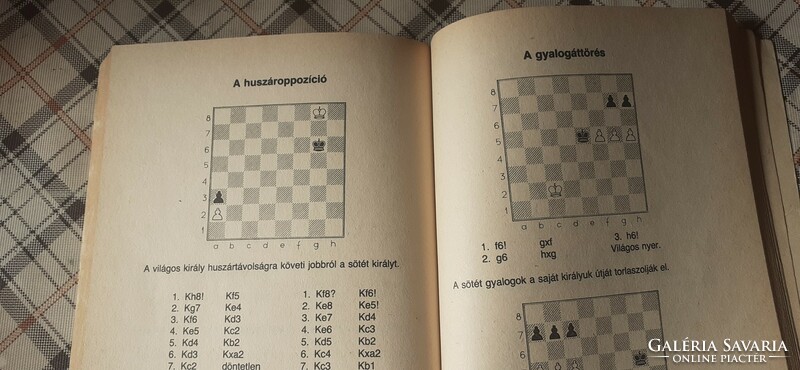 László Solymosi: let's play chess, young people! (1983.)