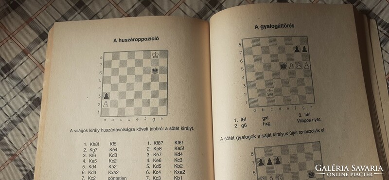 Solymosi László:Sakkozzunk, fiatalok! (1983.)