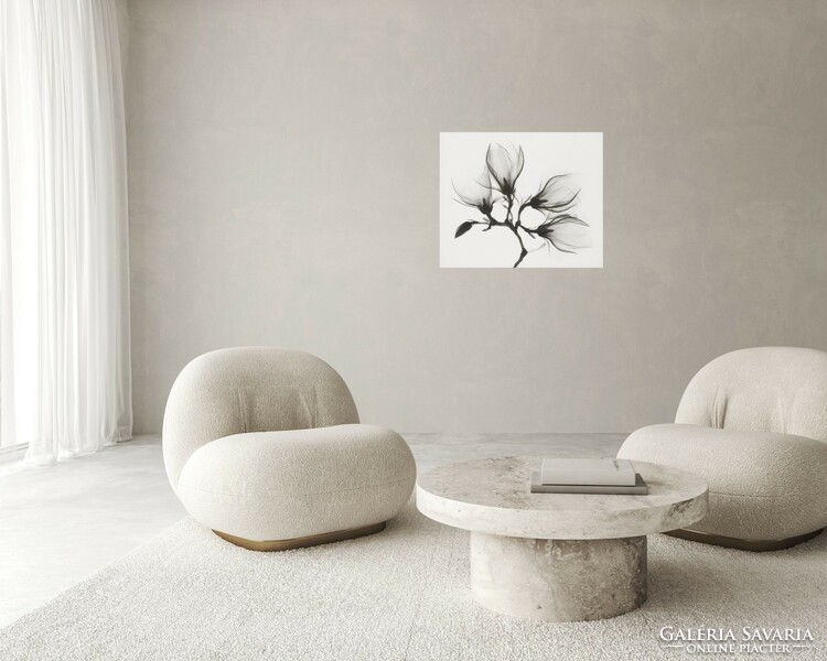 Beautiful black and white photo print of a flower 42 * 34.5 Cm, reproduction on paper, without frame