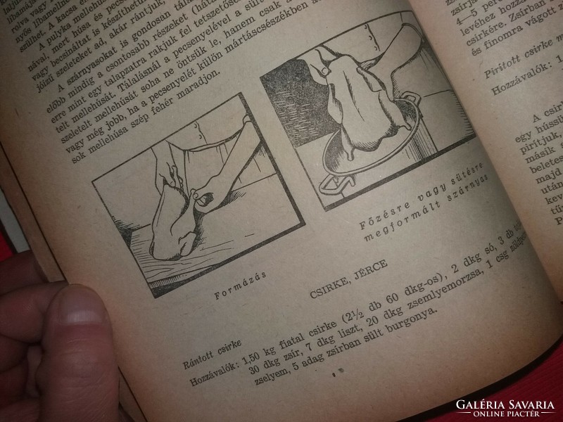 1954. VENESZ JÓZSEF : Szakácskönyv könyv a képek szerint Kereskedelmi Könyvkiadó