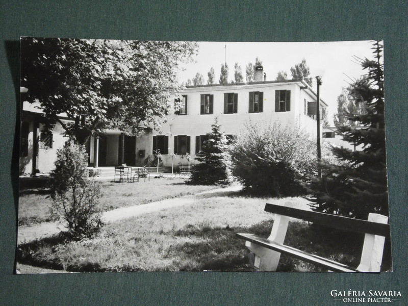 Képeslap,Postcard, Balatonboglár, Szabadságtelep üdülő látkép részlet,1964