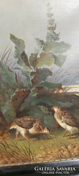 Two quails, quality oil, canvas 38cmx57cm (without frame), unsigned