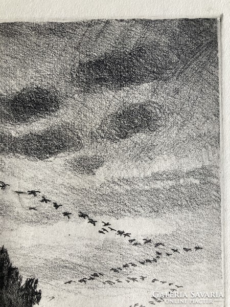 István Zádor (1882-1963): migrating wild ducks, marked etching - gallery company, 1963