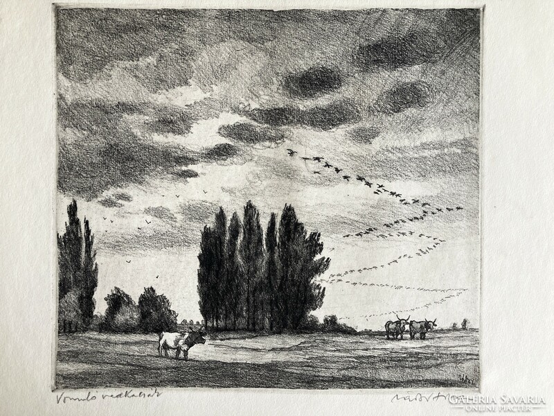 István Zádor (1882-1963): migrating wild ducks, marked etching - gallery company, 1963