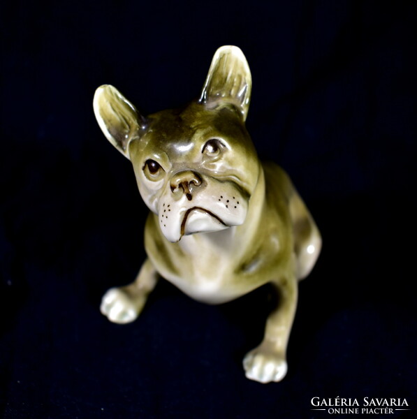 FRANCIA BULLDOG ROYAL DUX PORCELÁN FIGURA