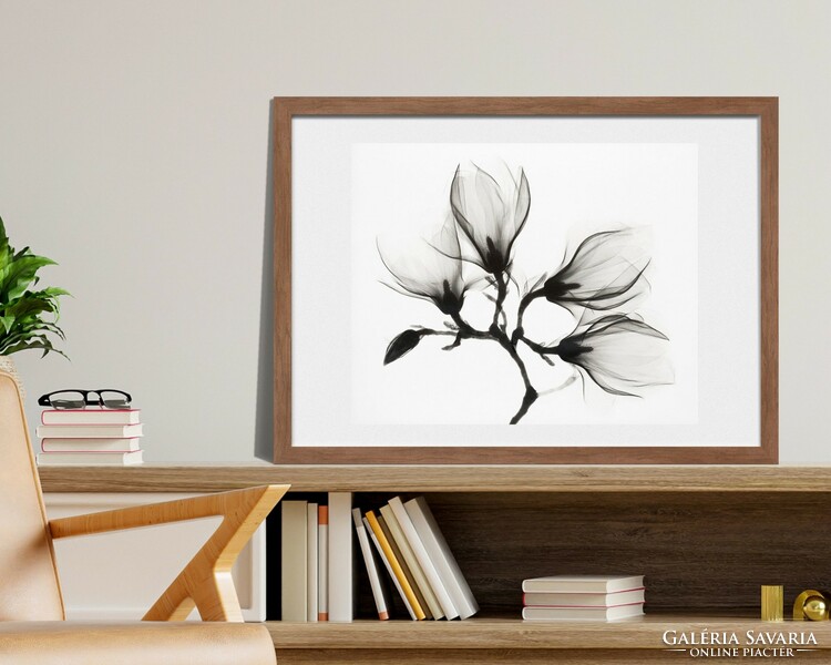 Beautiful black and white photo print of a flower 42 * 34.5 Cm, reproduction on paper, without frame