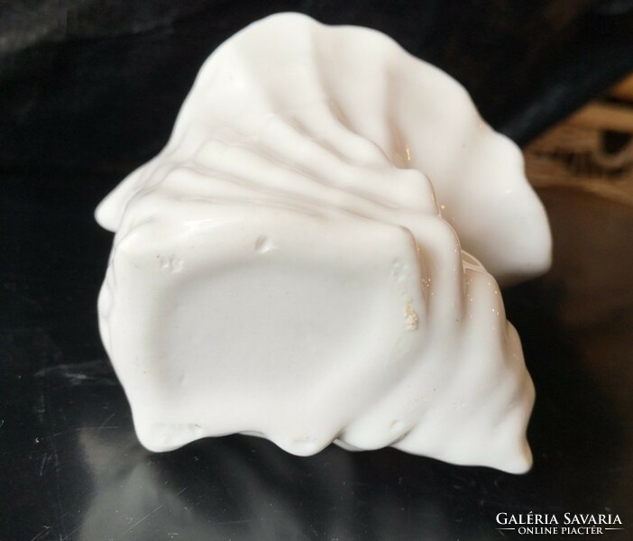 White porcelain shell 7.5 cm high