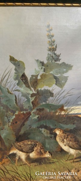 Two quails, quality oil, canvas 38cmx57cm (without frame), unsigned
