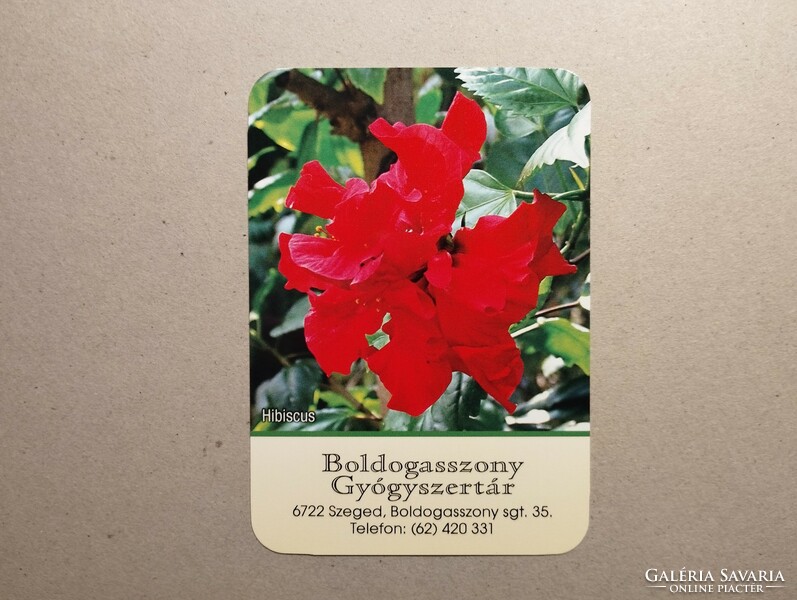 Hungary, card calendar ii.- Boldogasszony pharmacy 2024