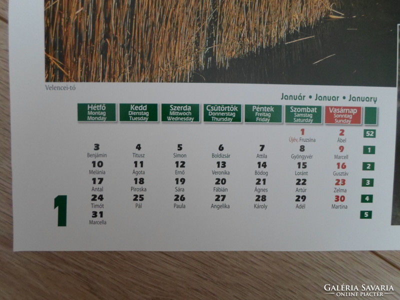Poszter naptárlap 1.: Velencei-tó, nádas, uhu; január (fotóposzter; bagoly)