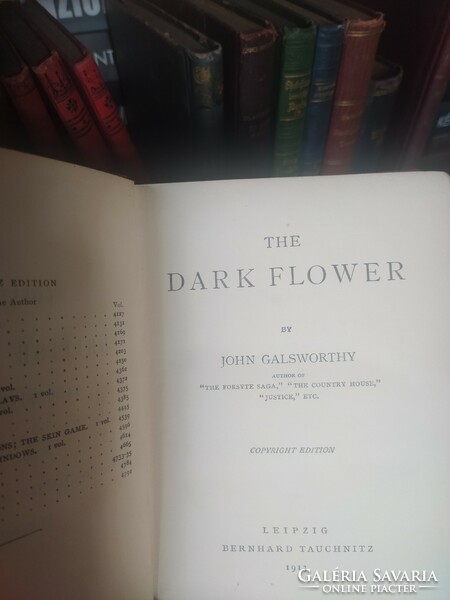 John Galsworthy: The dark flower (1913-as angol nyelvű kiadás) 3000 Ft