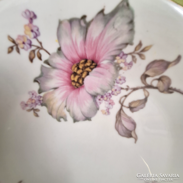 Bavaria schirnding porcelain breakfast set, cup, plate