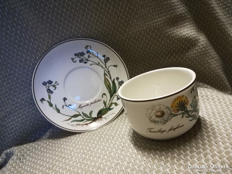 Villeroy&Boch kávés csésze szett"Botanica"