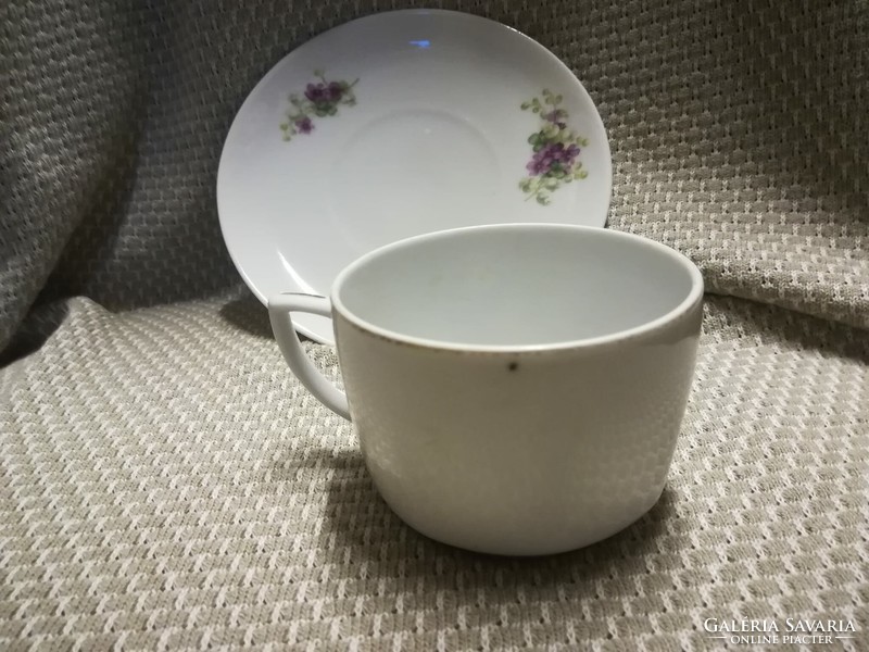 Porcelain tea set /Czech/ with violet pattern