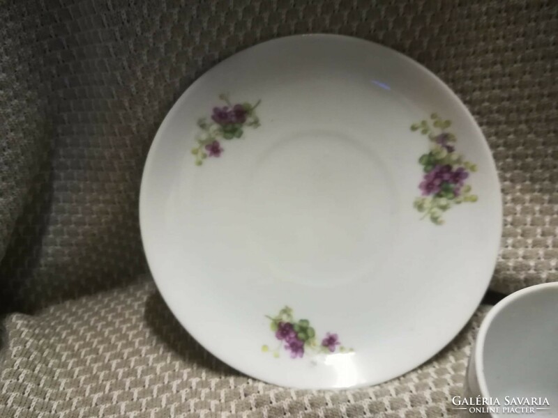 Porcelain tea set /Czech/ with violet pattern