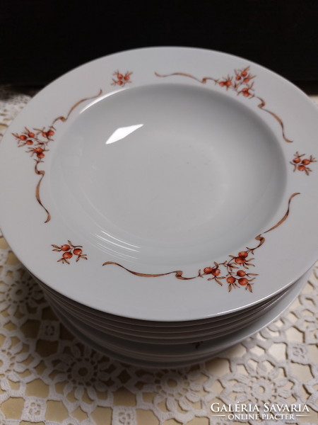 Lowland rosehip pattern porcelain 3 deep, 8 flat plates