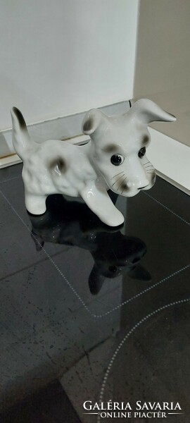 Porcelain little dog
