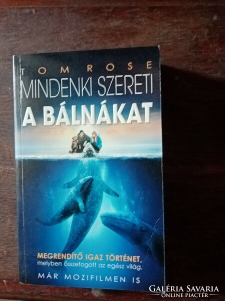 Tom rose-mindenki szereti a bálnákat