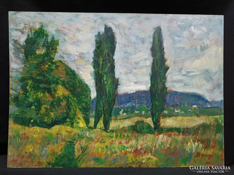 Monos József - Balaton vidéke olaj, farost 50x70 cm
