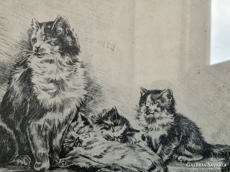 Cat family etching