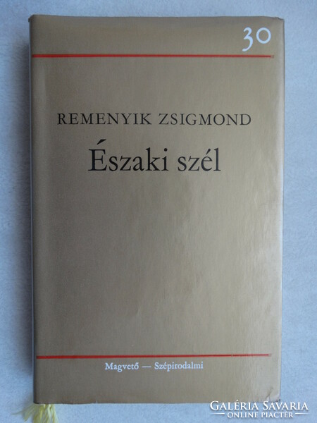 Zsigmond Remenyik: north wind