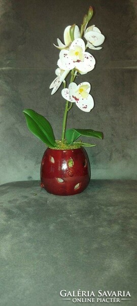 Anyáknapi orchidea