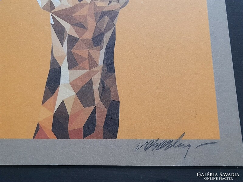 Zsiráf, nyomat, sorszámos, szignózott, 34 x 22 cm