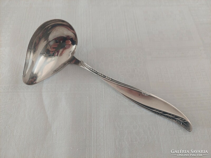 Spoon with silver sauce