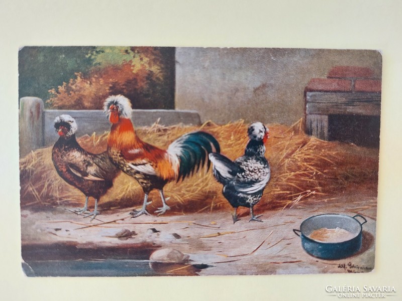 Old postcard still life with poultry