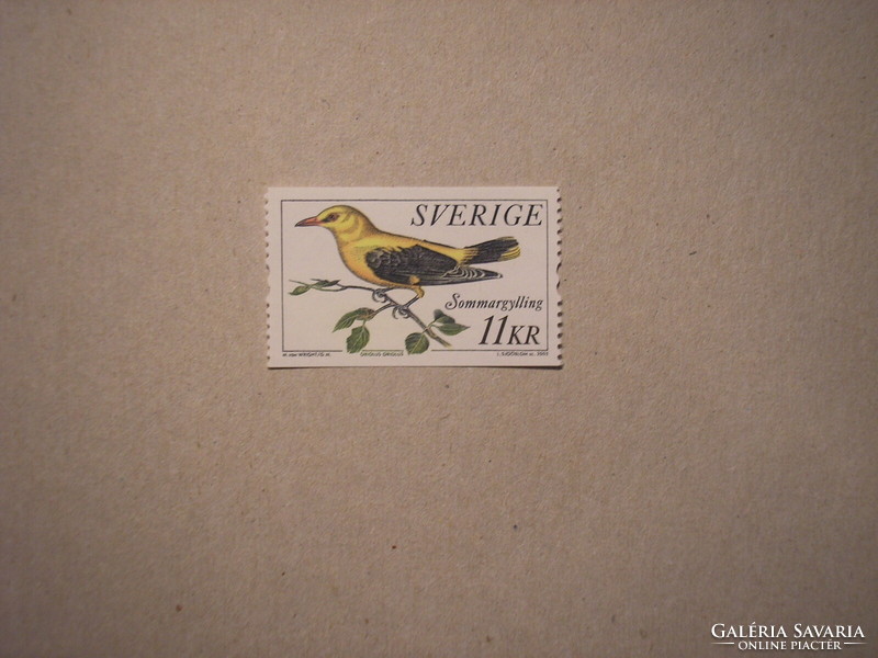 Sweden-fauna, birds, yellow thrush 2005