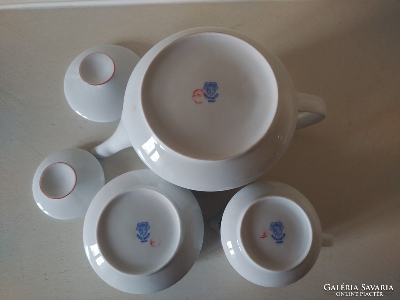 Alföldi fruit tea serving set